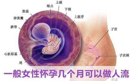 【在线课堂】:怀孕四十天可以做***人流吗?