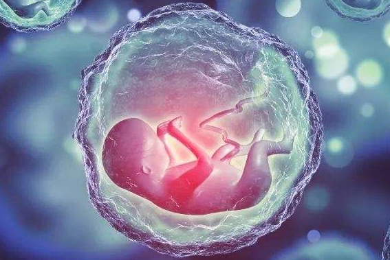 淮安抽血验早孕多少钱?【医生建议】不要太早抽血查早孕!